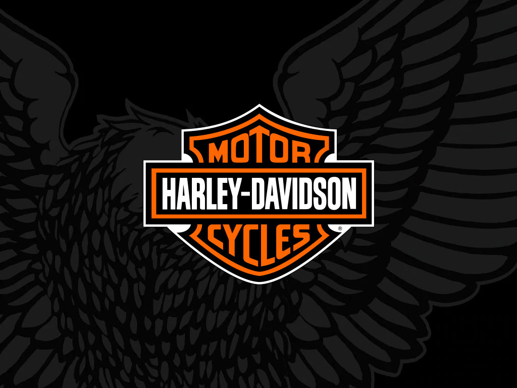 2002 Harley-Davidson XLH 883 